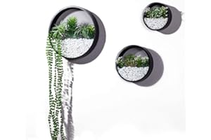 ZEETOON Stabilized Iron Alloy Metal Wall Planter with Powder Coating, Black, Suitable for Indoor and Outdoor Use, Ideal for Displaying Hanging Plants, with Modern Industrial-Style Design