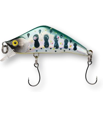 fish arizona z-wobbler lure catch a memory Neverskunk Wobbler Variety 3 Pack – Ultralight Wobble Minnow Crankbait Fishing Lures (55mm & 50mm) – Wounded & Western Series – Single Barb Hooks – Trout, Bass & Panfish Lures : Sports & Outdoors OC] qts by smooshkin bend black nickel hooks. Rod Model:DX744C FH Chad Shad Customs