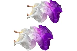WXHVLTT 2 Pairs Silk Belly Dance Fans, Faux Silk Belly Dance Fan Veils,Silk Fans for Dancing Performances Long Belly Dance Silk Fan