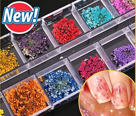 Amazon ドライフラワー ネイル押し花 ６０枚セット 生花の押し花 透明収納ケース付き ネイル飾り レジン 上質 Diy飾り Queen Trading シール ステッカー 通販