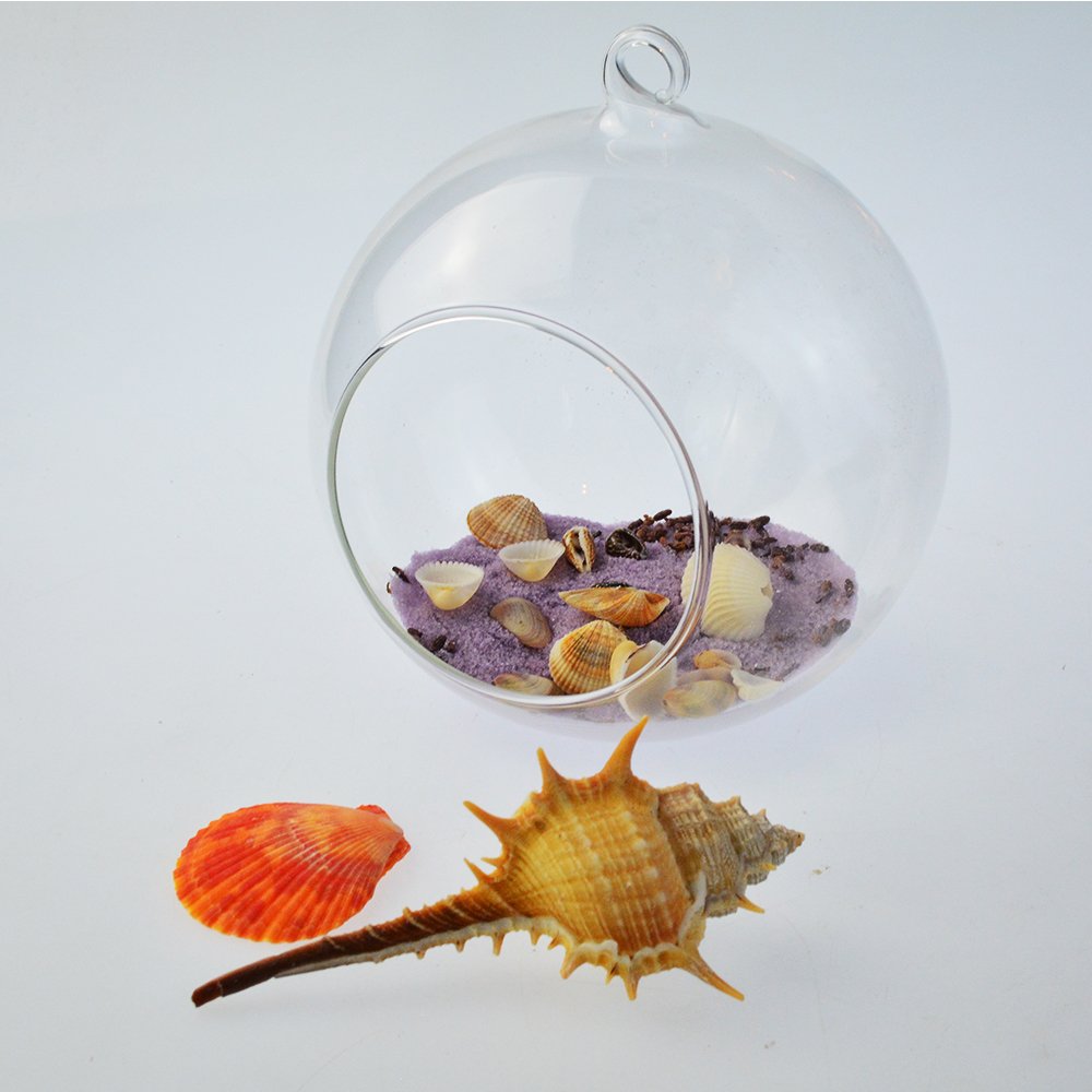 cnomg 80 pcs Sea Shells, Mixed Beach Seashells, Colorful Natural Seashells Perfect Accents for Candle Making，Home Decorations, Beach Theme Party Wedding Decor, DIY Crafts, Fish Tank and Vase Fillers