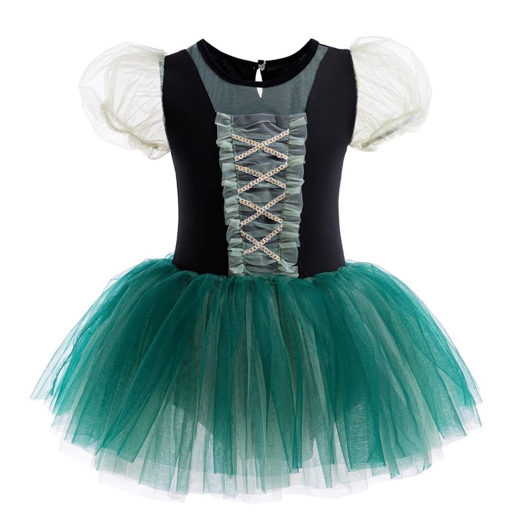 Lito Angels Medieval Ballet Dance Leotard with Tutu Skirts Ballerina Fancy Dress Up Costume for Kids Girls Age 6-7 Years, Green
