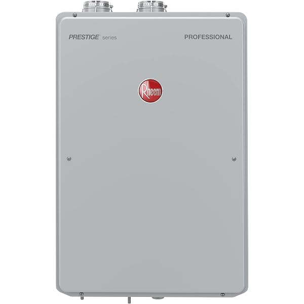 Rheem RTGH-95DVLP-2 Tankless Water Heater, Grey, Grey - Amazon.com