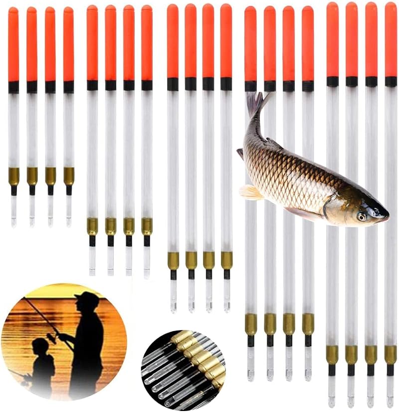 Lanfly Fishing Floats 20Pcs 5 Sizes Coarse Transparent Waggler Kit