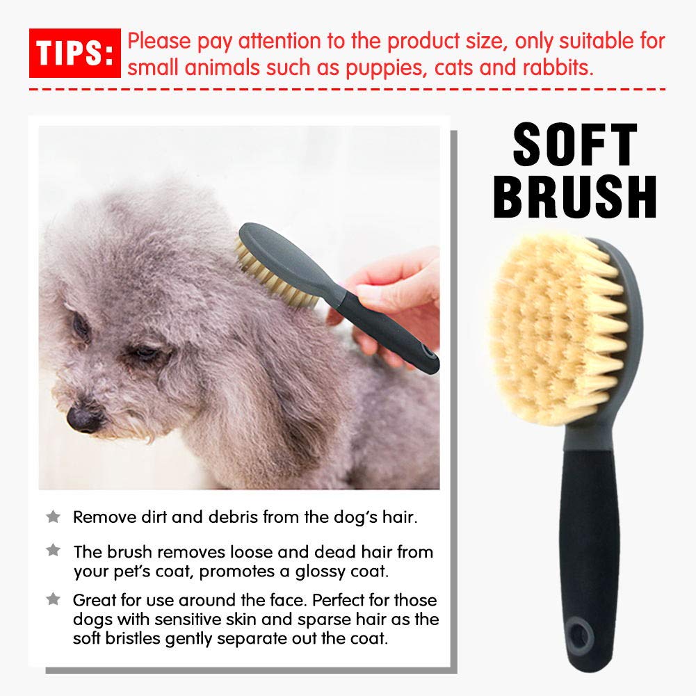 Puppy Grooming Kit Cat Flea Comb Brush, Soft Protection Salon Grooming Tools for Small Animals, Remove Dead Hair, Mats, Tangles, 4 Pcs