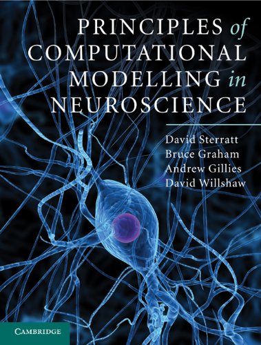 PRINCIPLES OF COMPUTATIONAL MODELLING IN NEUROSCIENCE