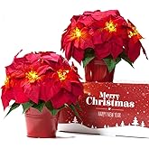 HOMESEASONS 2 Pack 10" LED Lighted Artificial Poinsettias for Outdoors LED Poinsettia Flowers Artificial Faux Poinsettia Plants Poinsettia Christmas Decorations for Holiday Home Kitchen Decor