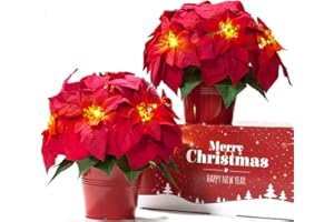 HOMESEASONS 2 Pack 10" LED Lighted Artificial Poinsettias for Outdoors LED Poinsettia Flowers Artificial Faux Poinsettia Plants Poinsettia Christmas Decorations for Holiday Home Kitchen Decor