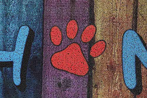Darkyazi 23.6" x 35.4" Colorful Doormats Entrance Front Door Rug Funny Outdoors/Indoor/Bathroom/Kitchen/Bedroom/Entryway Floor Mats,Non-Slip Rubber (Home)