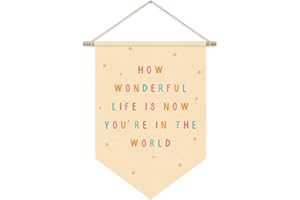 ETVISO Nursery Decor, How Wonderful Life Is Now You're in the World Wall Hanging Sign Flag, Positive Affirmations, Kids Affirmations Nursery Wall Art Canvas Hanging Pennant Flag Banner 15x11in