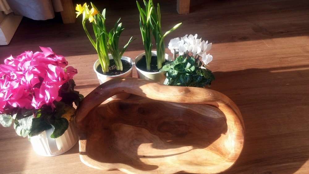 Beautiful Contempory Rustic Solid Wooden Long Trug or Bowl for Your Garden or Indoors Uniquely Carved from Teak