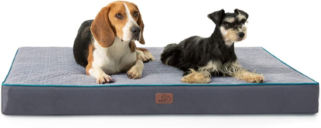 dog bed for 2 dogs