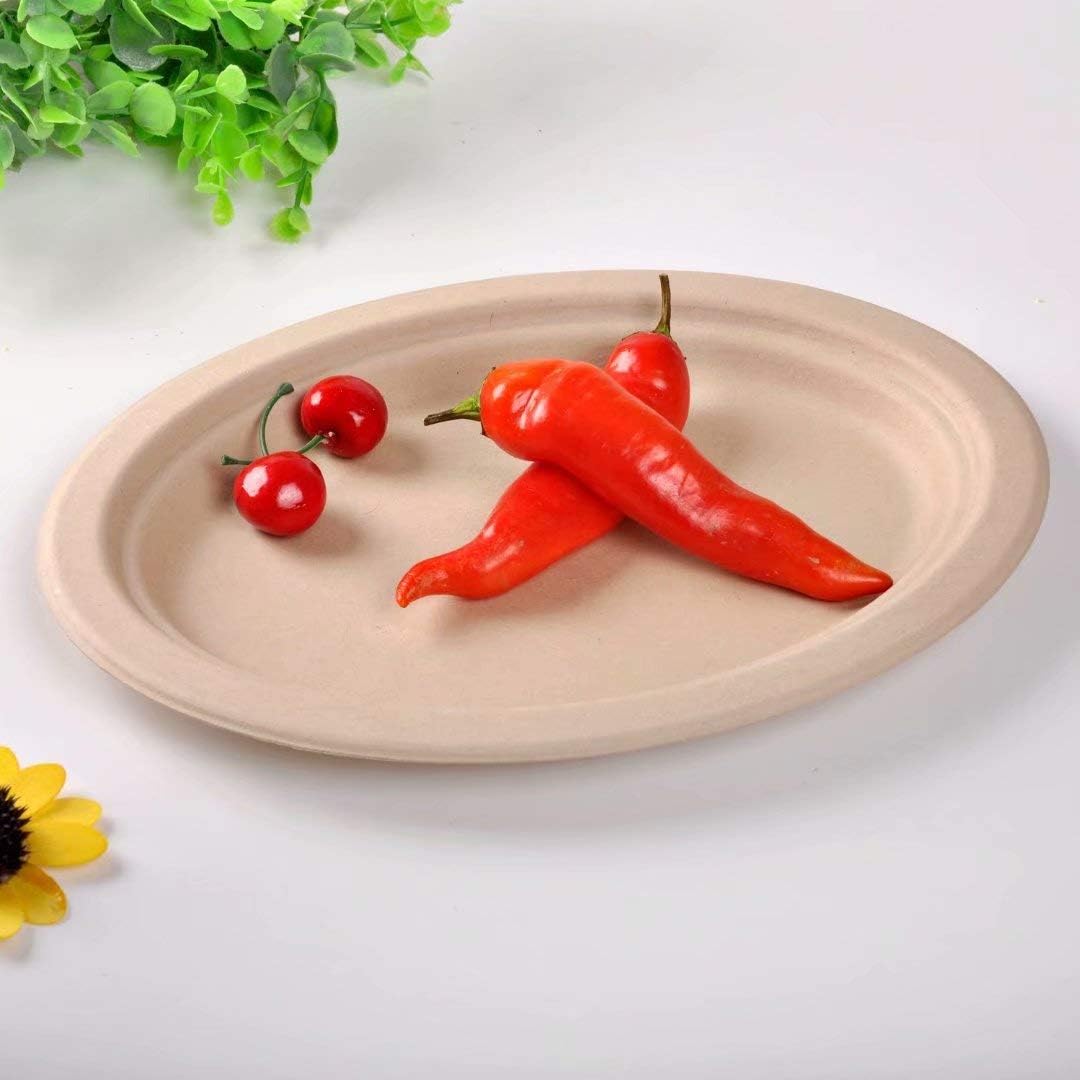 HONHAN Biodegradable Disposable Paper Fast Food Containers,Portable Food Tray, Disposable Tray,Easy Carry and Pollution-Free!!