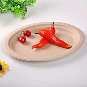 HONHAN Biodegradable Disposable Paper Fast Food Containers,Portable Food Tray, Disposable Tray,Easy Carry and Pollution-Free!!
