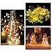 SHINE HAI 12-Pack 6.5FT/2M LED Copper Wire String Lights 20 Micro Starry Waterproof LED Moon Lights, Warm White, Battery Operated for Party Wedding Centerpiece Christmas Table Decoration