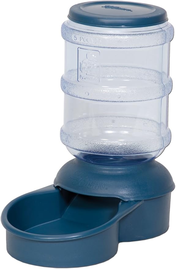 Pet Supplies Petmate Le Bistro 5Pound Feeder with Microban, Peacock