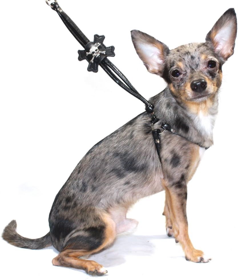 Hip Doggie HD6SISBL Skull Stepin Harness Dog Harness, L, Black BigaMart