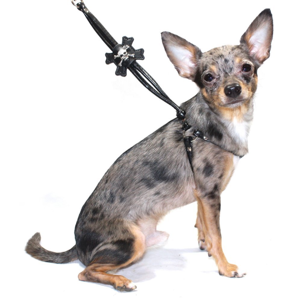 Hip Doggie HD-6SISB-L Skull Step-in Harness - Dog Harness, L, Black