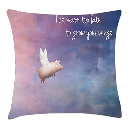 Amazon Com Hfyzt Inspirational Mousepad Flying Pig Pillow Case