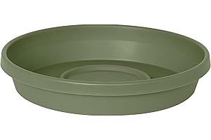 Bloem Terra Saucer Tray: 24" - Living Green - for Planters 15-20"