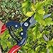 TABOR TOOLS Pruning Shears, Florist Scissors, Multi-Tasking Garden Snips for Arranging Flowers, Trimming Plants and Harvesting Herbs, Fruits or Vegetables. K7A. (Straight, Carbon Steel Blades) thumb 4