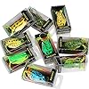 Shelure-Topwater-Lures-Frog-Soft-Bait-Kit-Swimbait-For-Bass-Saltwater-Freshwater-Fishing-Combo-Sets