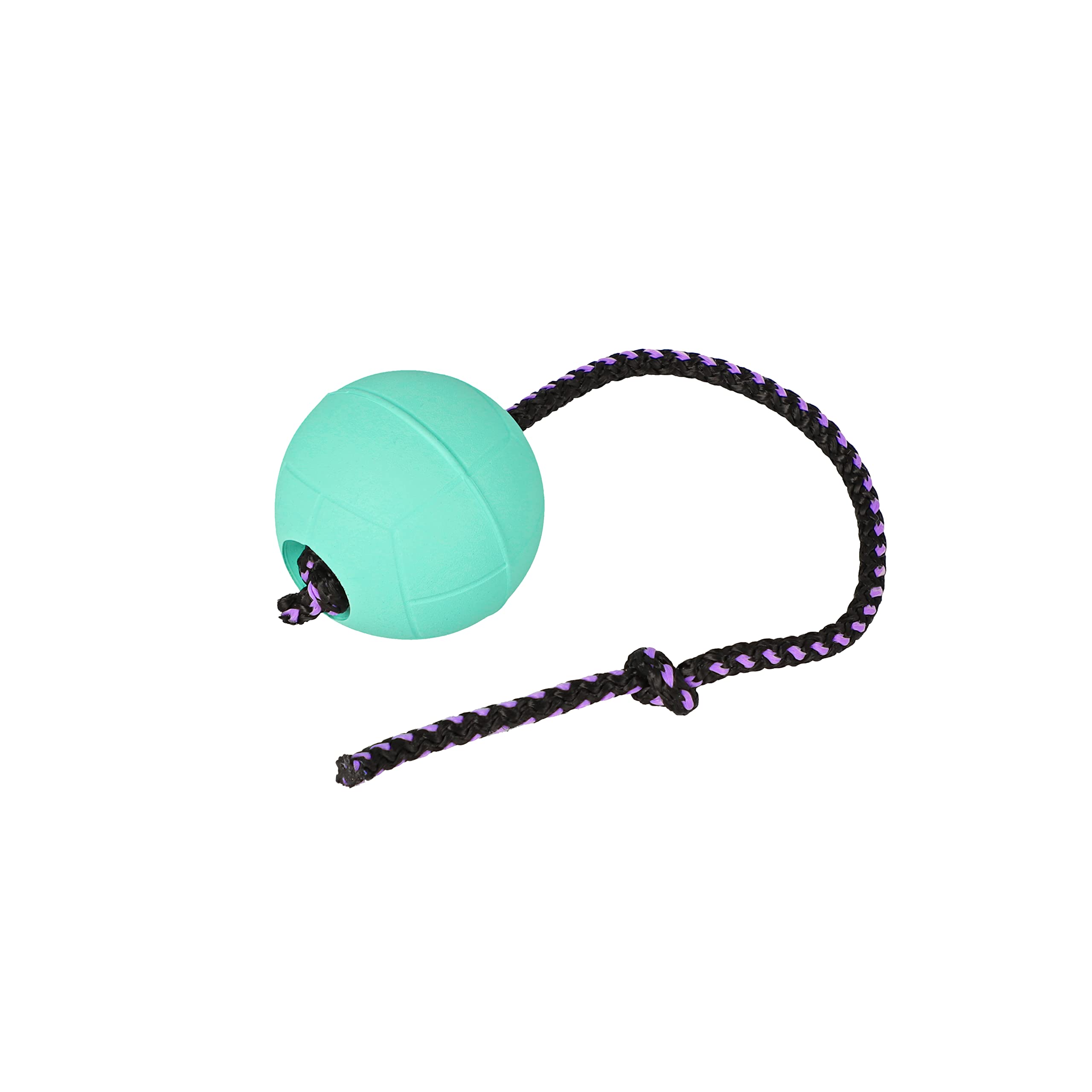 DINGO BIBI Ball 30 cm Handle Floating on Water Filled Rubber Dog Toy with String Pulled Through the Inside for Dog Training Retrieve Agility Reward Fun Mint 17254 — image 1