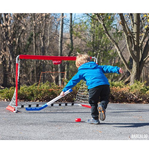 Soccer Goal and Pitchback 3 in 1 Sports Net with Soccer Ball