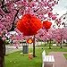 Coopay 10 Pack Chinese Red Lanterns Festival Decorations for New Year, Spring Festival, Wedding, Restaurant Decoration