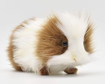 Buy Hansa Guinea Pig Plush Brown White Online At Low Prices In
