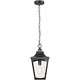 ML Lighting 10931-PBK Curry 1-Light Outdoor Hanging Lantern in Powder Coated Black Finish