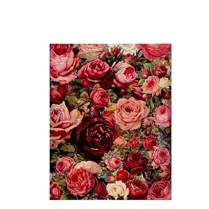 Antlszh Peinture Numérique Floraison Rose Rouge Dessin Par