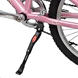 schwinn adjustable kickstand