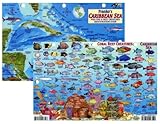 Caribbean Sea Fish Id Card with Island Map 8.5 in by 5.5 in