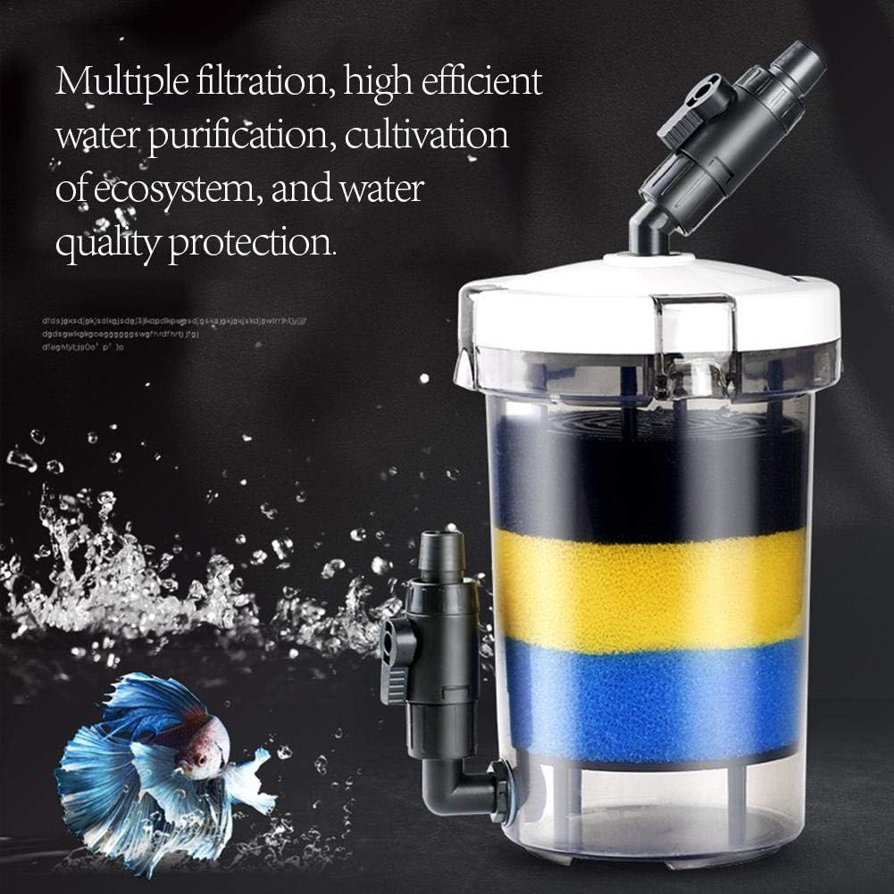 水族館濾過システムの基本的なタイプ