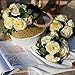 YILIYAJIA Artificial Rose Fake Vines Silk Spring Flowers Rose Garlands Hanging Rose Ivy Plants for Wedding Home Office Arch Arrangement Decoration 4PCS(28.16 FT)(Beige)