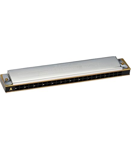 Amazon.com: Tombo Mundharmonika Tremolo 24, C-Dur : Musical