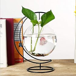 YY YEARCHY Ornament Display Hanger Rack Stand Hook
