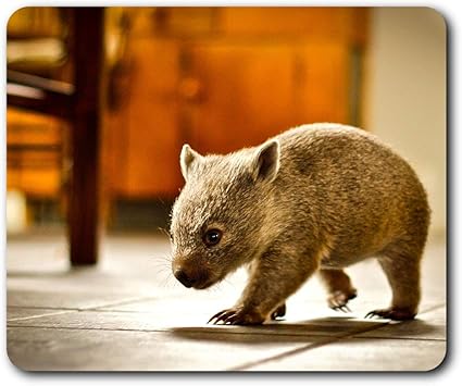 Amazon 快適なマウスマット 赤ちゃんウォンバットオーストラリアの動物コンピュータ ノートパソコン オフィス ギフト ノンスリップベースのため23 5 X 19 6センチメートル 9 3 X 7 7インチ Rm2296 Destination Vinyl Ltd パソコン 周辺機器 通販