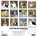 Just Australian Shepherds 2019 Wall Calendar (Dog Breed Calendar)