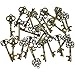 Key Bottle Openers - Assorted Vintage Skeleton Keys, Wedding Party Favors (Pack of 25, Bronze)