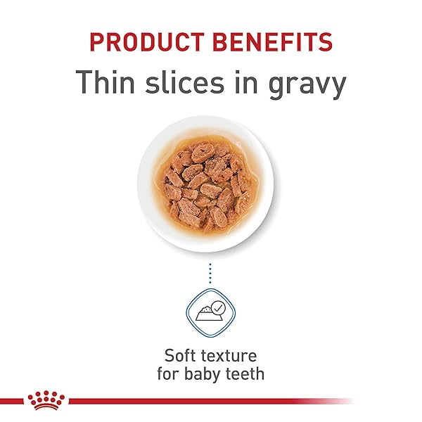 ROYAL CANIN SIZE HEALTH NUTRITION X-SMALL PUPPY THIN SLICES IN GRAVY DOG FOOD, 3 OZ (PACK OF 12)