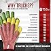TruChef Premium Cut Resistant Adult Gloves Food Grade - Level 5 Anti-Cut Protection for Meat, Veggies & Wood Carving - Durable, Breathable, Machine Washable - Kitchen Knife Proof Safety Gloves