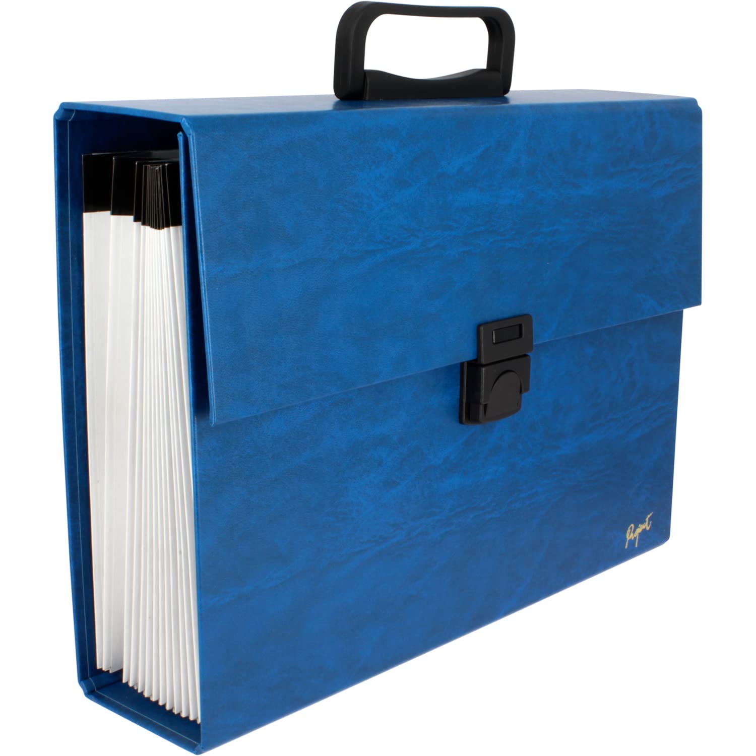 Grafoplás 2980030 Binder Case Bellows Accordion,Blue,Folio