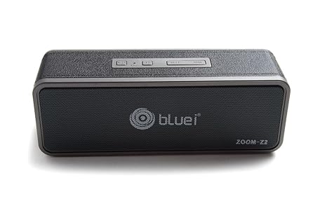 bluei speaker