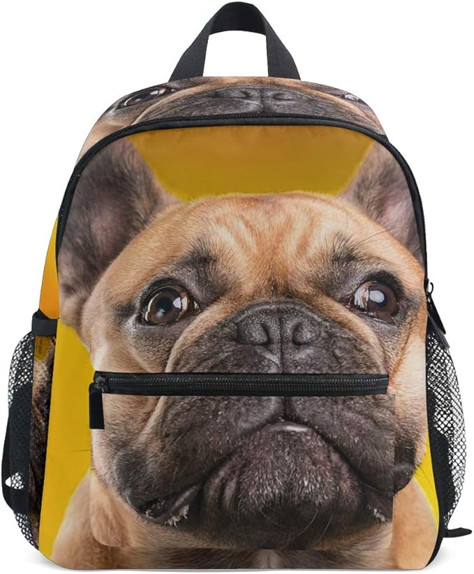 BENNIGIRY Watercolor French Bulldog Puppy Kids Backpack School Book Bag