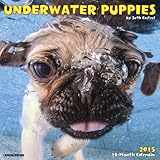 Underwater Puppies 2015 Mini Calendar