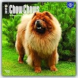 Chow Chows 2017 Square (Multilingual Edition)