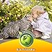 Pet Flea and Tick Collar for Cats and Kittens - 6 Months Protection, Stops Bites, Itching, Kill Insects, Larvae, Eggs and More - Waterproof, and Fully Adjustable by Totopet's™