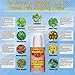 Myomed PRO Back Knee Shoulder Relief. All Natural Pain Relief. Maximum Strength Premium Whole Body Recovery Rub with Eucalyptus, Camphor, Menthol, Pine Needle & Wintergreen Oil - Non-Greasy 3.5oz